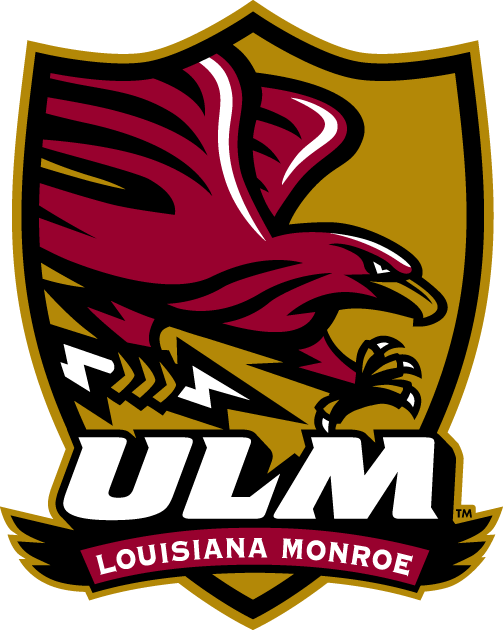 Louisiana-Monroe Warhawks 2006-Pres Alternate Logo t shirts iron on transfers v3